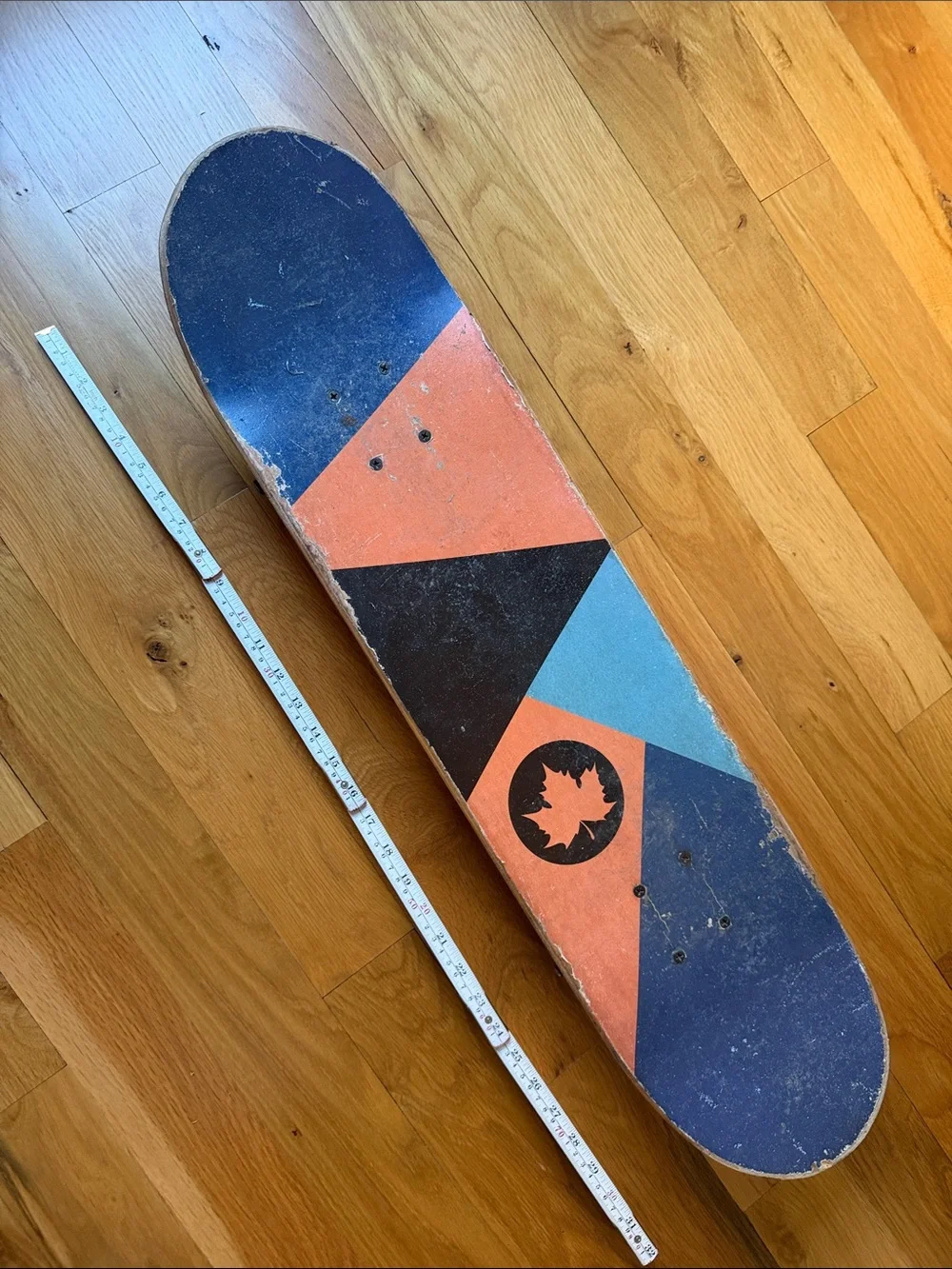 Maple Leaf Skateboard Wall Art - Blue & Coral